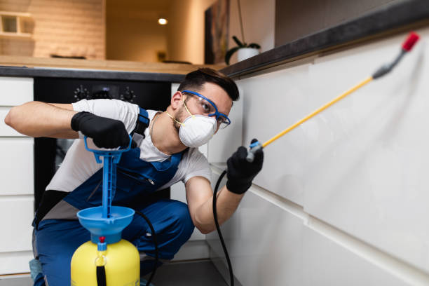 Best Commercial Pest Control Services  in Robbins, IL