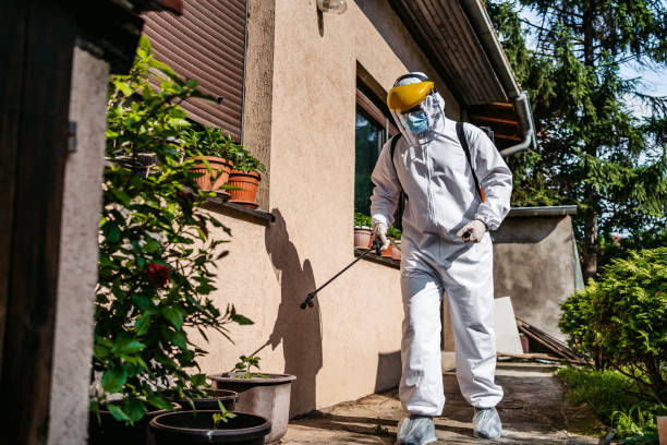 Best Local Pest Control Services  in Robbins, IL
