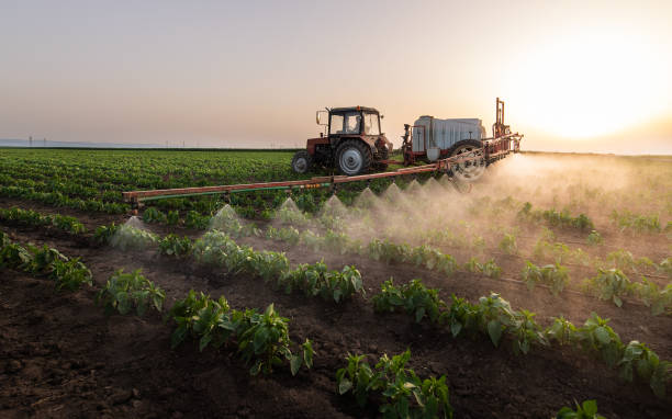 Best Mosquito Control Services  in Robbins, IL