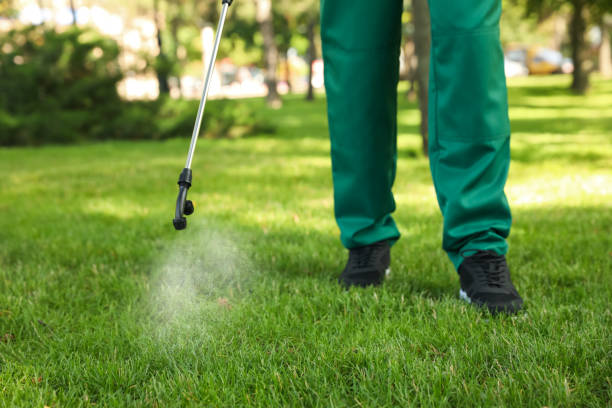 Best Emergency Pest Control  in Robbins, IL