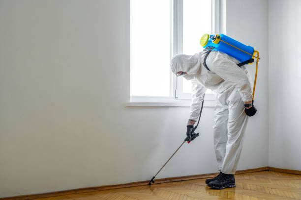 Best Flea Control Services  in Robbins, IL