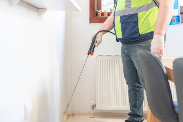 Wasp Removal Services in Robbins, IL