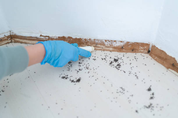 Best Pest Removal Services  in Robbins, IL