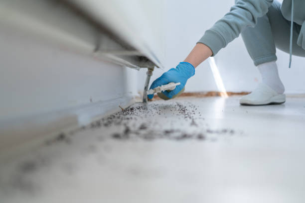 Best Best Pest Control Companies  in Robbins, IL