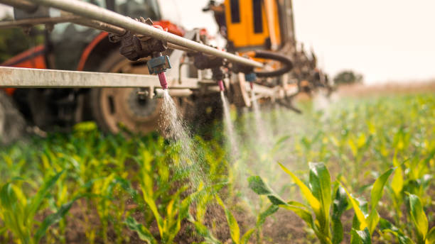 Best Best Pest Control Companies  in Robbins, IL